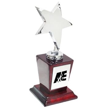 Flying Star Award - Silver