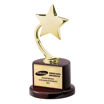 Flying Star Award - Gold