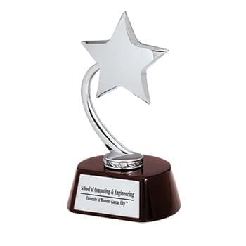 Flying Star Award